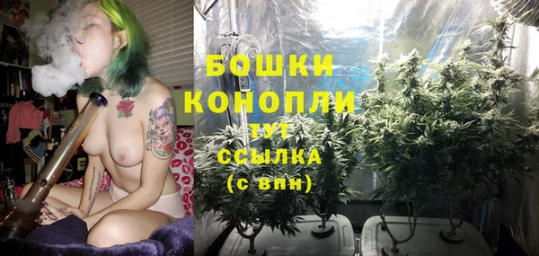 соль ск Бородино
